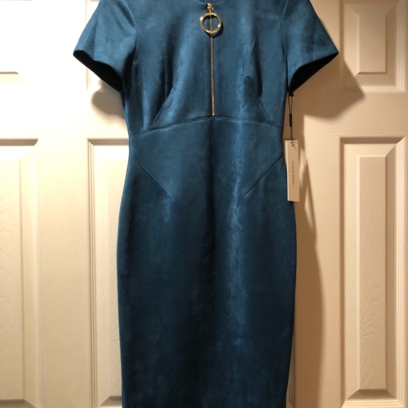 Calvin - Picture 4 of 4